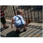 Ezra feeding deer.jpg